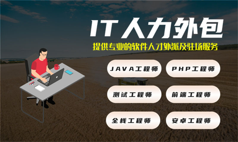 广州都有哪些较大的java人力外包公司